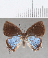  ( - CFCD01686)  @11 [ ] copyright (2020) Christer Fahraeus Center For Collection-Based Research