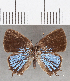  ( - CFCD01687)  @11 [ ] copyright (2020) Christer Fahraeus Center For Collection-Based Research