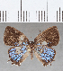  ( - CFCD01688)  @11 [ ] copyright (2020) Christer Fahraeus Center For Collection-Based Research