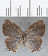  ( - CFCD01689)  @11 [ ] copyright (2020) Christer Fahraeus Center For Collection-Based Research