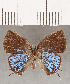  ( - CFCD01691)  @11 [ ] copyright (2020) Christer Fahraeus Center For Collection-Based Research