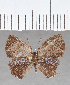  ( - CFCD01692)  @11 [ ] copyright (2020) Christer Fahraeus Center For Collection-Based Research