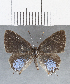  ( - CFCD01694)  @11 [ ] copyright (2020) Christer Fahraeus Center For Collection-Based Research