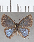  ( - CFCD01695)  @11 [ ] copyright (2020) Christer Fahraeus Center For Collection-Based Research