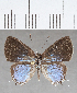  ( - CFCD01696)  @11 [ ] copyright (2020) Christer Fahraeus Center For Collection-Based Research