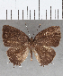  ( - CFCD01699)  @11 [ ] copyright (2020) Christer Fahraeus Center For Collection-Based Research