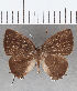  ( - CFCD01701)  @11 [ ] copyright (2020) Christer Fahraeus Center For Collection-Based Research