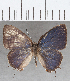  ( - CFCD01702)  @11 [ ] copyright (2020) Christer Fahraeus Center For Collection-Based Research