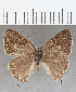  ( - CFCD01706)  @11 [ ] copyright (2020) Christer Fahraeus Center For Collection-Based Research