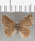  ( - CFCD01707)  @11 [ ] copyright (2020) Christer Fahraeus Center For Collection-Based Research