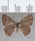  ( - CFCD01708)  @11 [ ] copyright (2020) Christer Fahraeus Center For Collection-Based Research