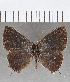  ( - CFCD01710)  @11 [ ] copyright (2020) Christer Fahraeus Center For Collection-Based Research