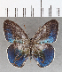  ( - CFCD01715)  @11 [ ] copyright (2020) Christer Fahraeus Center For Collection-Based Research