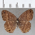  ( - CFCD01727)  @11 [ ] copyright (2020) Christer Fahraeus Center For Collection-Based Research