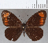  ( - CFCD01763)  @11 [ ] copyright (2020) Christer Fahraeus Center For Collection-Based Research