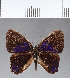  ( - CFCD00178)  @11 [ ] Copyright (2018) Christer Fahraeus Center For Collection-Based Research