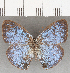  ( - CFCD01810)  @11 [ ] copyright (2020) Christer Fahraeus Center For Collection-Based Research