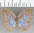  ( - CFCD01812)  @11 [ ] copyright (2020) Christer Fahraeus Center For Collection-Based Research