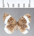  ( - CFCD00184)  @11 [ ] Copyright (2018) Christer Fahraeus Center For Collection-Based Research