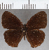  ( - CFCD01857)  @11 [ ] copyright (2021) Center For Collection-Based Research Center For Collection-Based Research