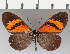  ( - CFCD01875)  @14 [ ] copyright (2021) Center For Collection-Based Research Center For Collection-Based Research