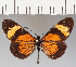  ( - CFCD01887)  @11 [ ] copyright (2021) Center For Collection-Based Research Center For Collection-Based Research