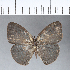  ( - CFCD00019)  @11 [ ] Copyright (2018) Christer Fahraeus Center For Collection-Based Research