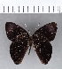  ( - CFCD00190)  @11 [ ] Copyright (2018) Christer Fahraeus Center For Collection-Based Research