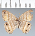 ( - CFCD01976)  @11 [ ] copyright (2022) Center For Collection-Based Research Center For Collection-Based Research