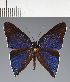  ( - CFCD02056)  @11 [ ] copyright (2022) Center For Collection-Based Research Center For Collection-Based Research