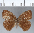  ( - CFCD00206)  @11 [ ] Copyright (2018) Christer Fahraeus Center For Collection-Based Research