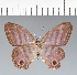  ( - CFCD02274)  @11 [ ] copyright (2022) Center For Collection-Based Research Center For Collection-Based Research