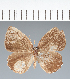  ( - CFCD02319)  @11 [ ] copyright (2022) Center For Collection-Based Research Center For Collection-Based Research