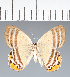  ( - CFCD02320)  @11 [ ] copyright (2022) Center For Collection-Based Research Center For Collection-Based Research