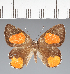  ( - CFCD02322)  @11 [ ] copyright (2022) Center For Collection-Based Research Center For Collection-Based Research