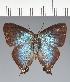  ( - CFCD02362)  @11 [ ] copyright (2022) Center For Collection-Based Research Center For Collection-Based Research