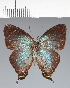  ( - CFCD02364)  @11 [ ] copyright (2022) Center For Collection-Based Research Center For Collection-Based Research