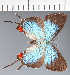  ( - CFCD02365)  @11 [ ] copyright (2022) Center For Collection-Based Research Center For Collection-Based Research