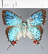  ( - CFCD02366)  @11 [ ] copyright (2022) Center For Collection-Based Research Center For Collection-Based Research