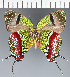  ( - CFCD02367)  @11 [ ] copyright (2022) Center For Collection-Based Research Center For Collection-Based Research