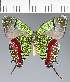 ( - CFCD02368)  @11 [ ] copyright (2022) Center For Collection-Based Research Center For Collection-Based Research
