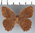  ( - CFCD02469)  @11 [ ] copyright (2022) Center For Collection-Based Research Center For Collection-Based Research
