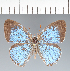  ( - CFCD02491)  @11 [ ] copyright (2022) Center For Collection-Based Research Center For Collection-Based Research