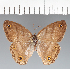  ( - CFCD02495)  @11 [ ] copyright (2022) Center For Collection-Based Research Center For Collection-Based Research