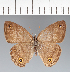  ( - CFCD02496)  @11 [ ] copyright (2022) Center For Collection-Based Research Center For Collection-Based Research