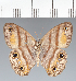  ( - CFCD02498)  @11 [ ] copyright (2022) Center For Collection-Based Research Center For Collection-Based Research