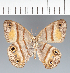  ( - CFCD02499)  @11 [ ] copyright (2022) Center For Collection-Based Research Center For Collection-Based Research