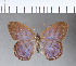  ( - CFCD00025)  @11 [ ] Copyright (2018) Christer Fahraeus Center For Collection-Based Research