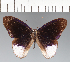  ( - CFCD02536)  @11 [ ] copyright (2022) Center For Collection-Based Research Center For Collection-Based Research