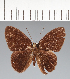  ( - CFCD02547)  @11 [ ] copyright (2022) Center For Collection-Based Research Center For Collection-Based Research